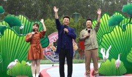 淄博民宿爆料最新消息视频,揭秘最新热门民宿背后的故事